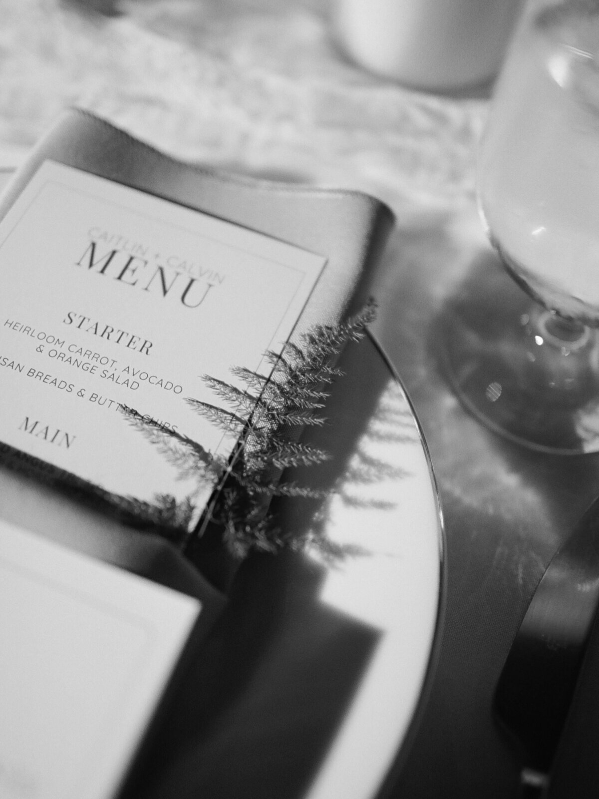 CAITLIN+CALVIN-LI-809