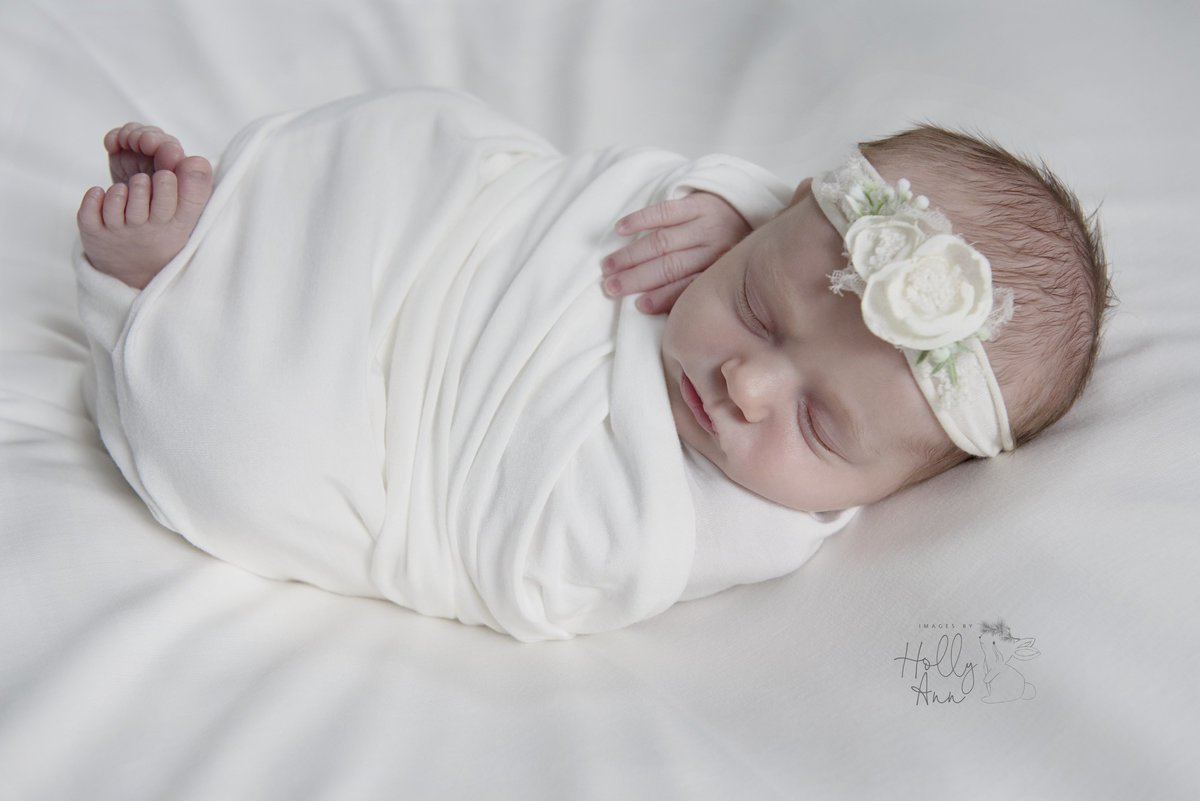 Glens Falls ny newborn studio portrait