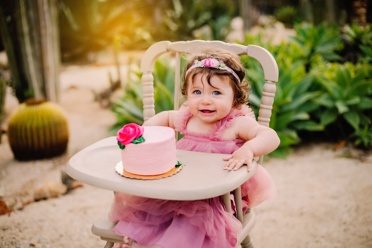 Evie-8 copy