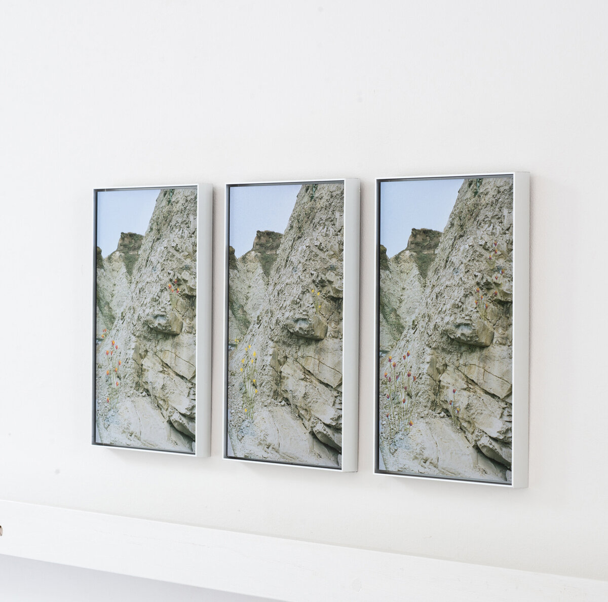 Rots-met-bloemen_Framed