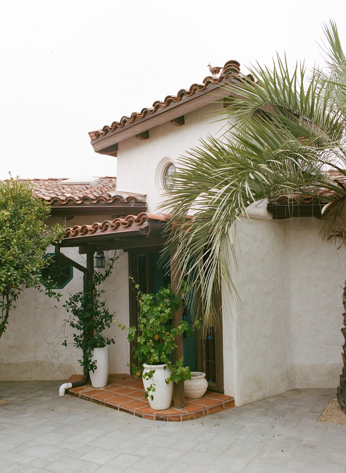 Jeune-Perche-Faye-Fern-Creative-MVFPortraits-Film-01