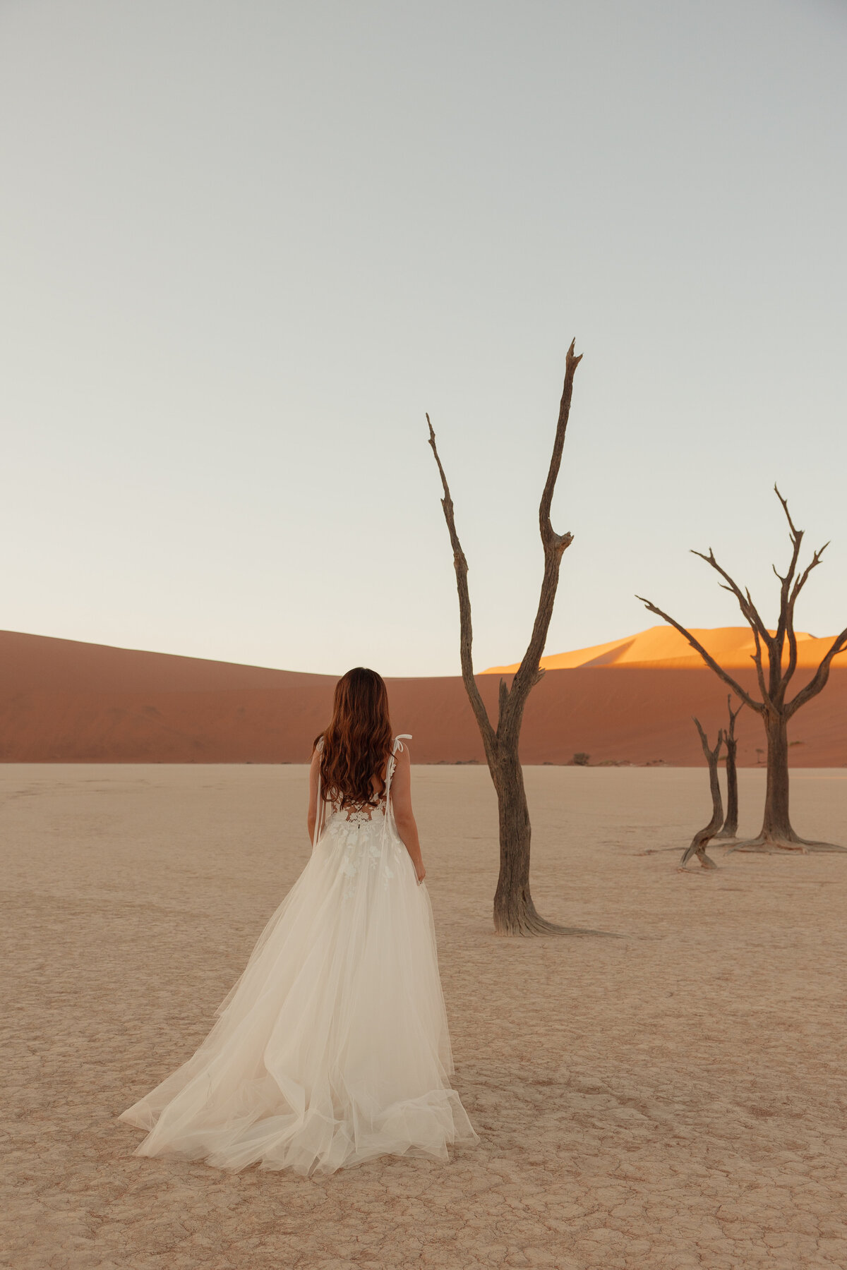 Zhila Ziad Nuri Elopement Wedding Sossusvlei Namibia Africa Heleen Photography-241