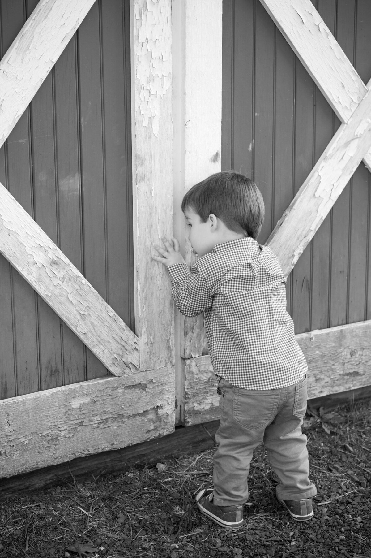 fairfield-connecticut-family-photographer-ct-2