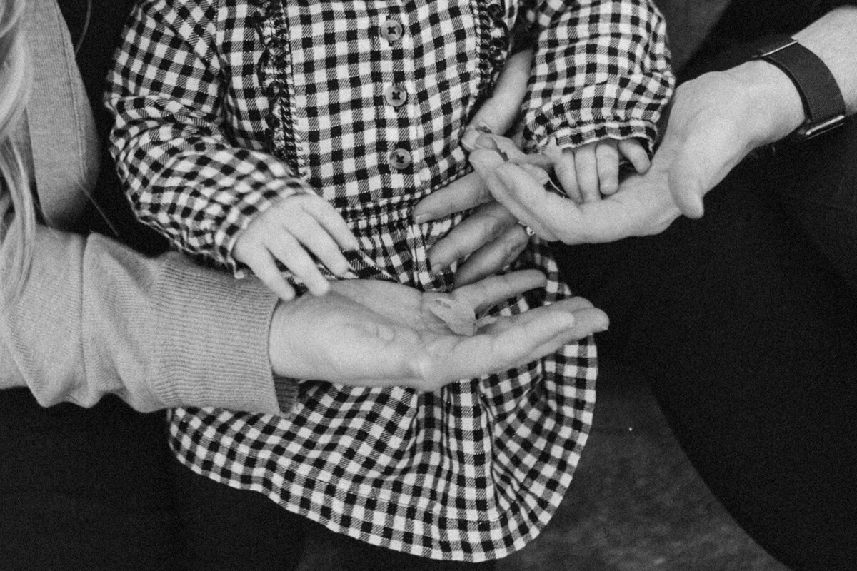 The Holland Family Photos-8071-2