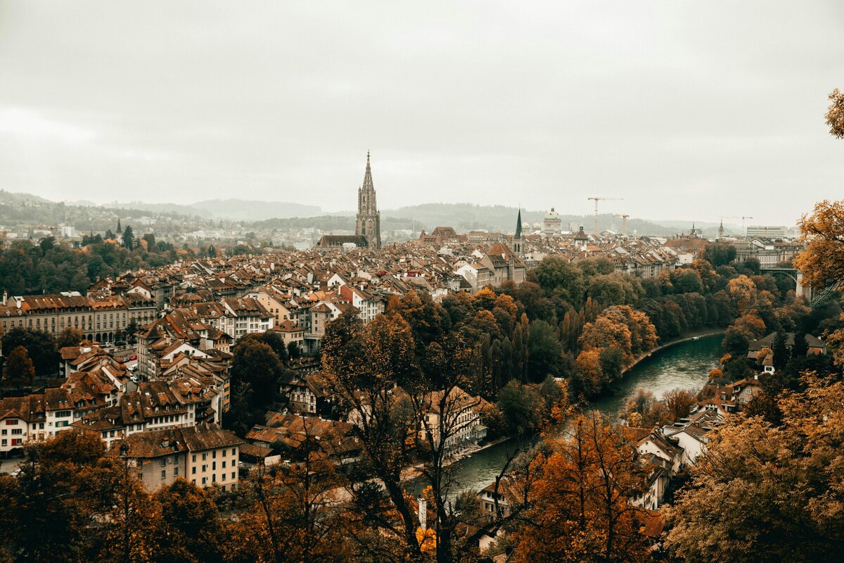 pexels-suissounet-14000406