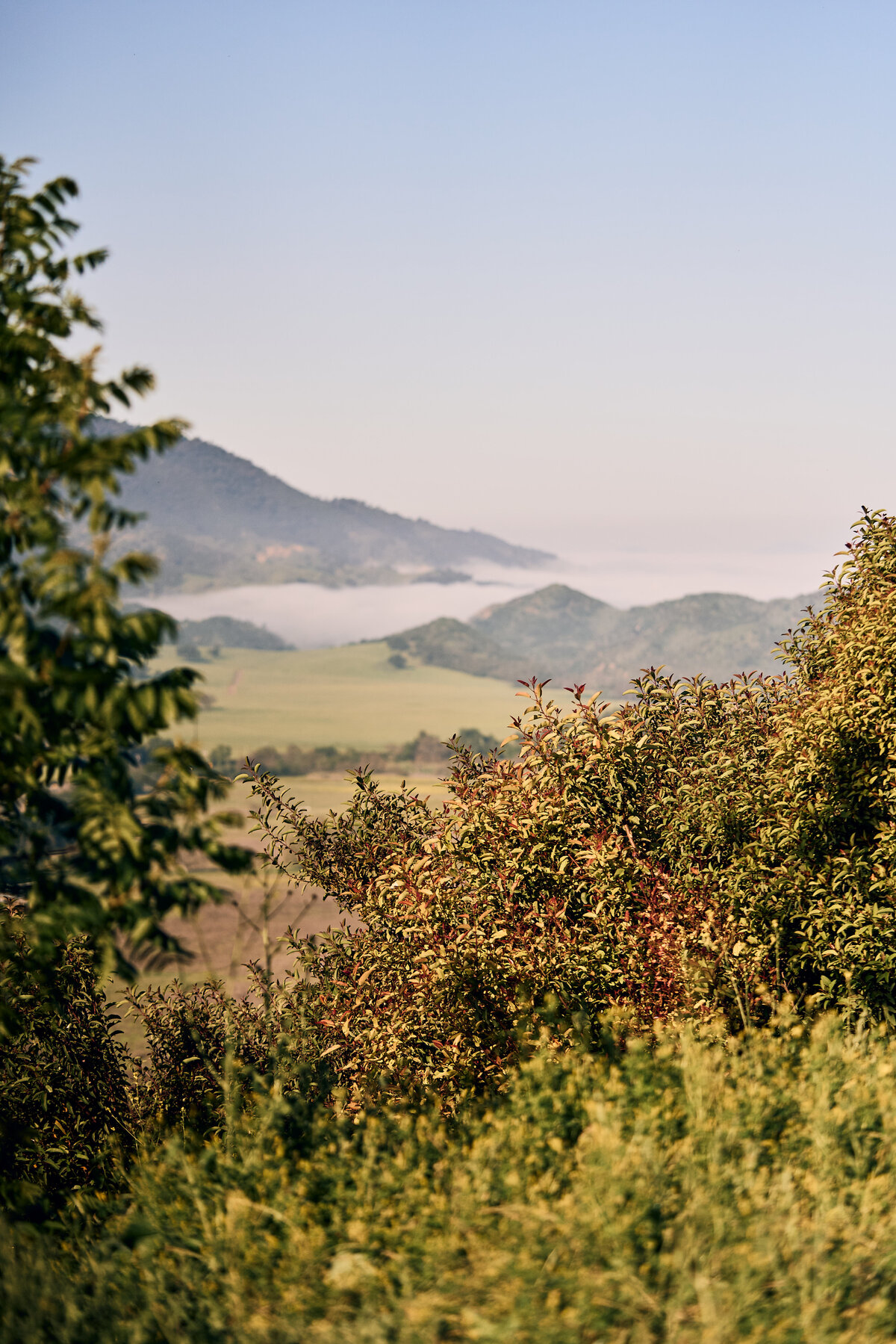 TOPA_042124_xMDL_3148