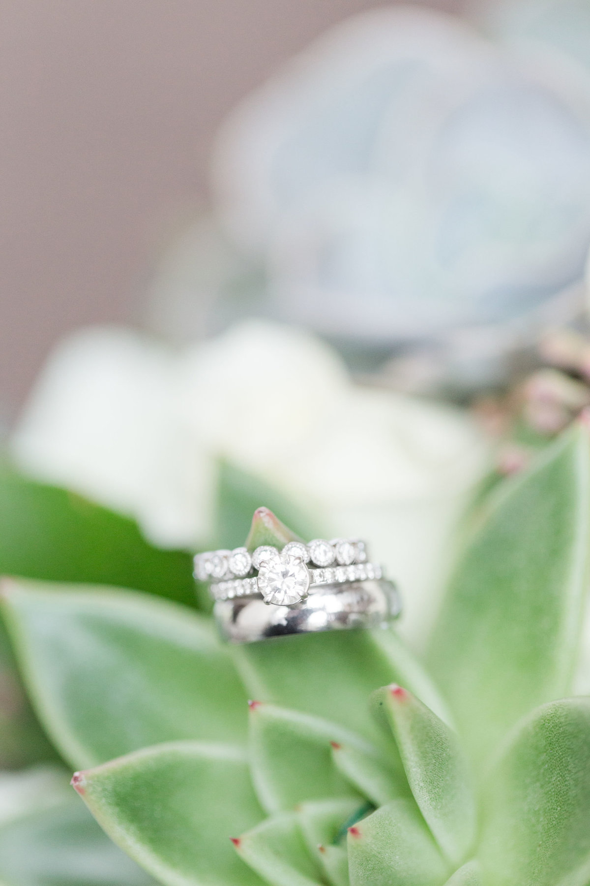 Carrie&GregWedding-2018-25230