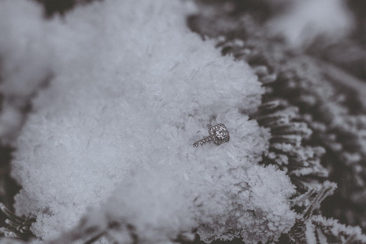 PNW_Elopement_Photographer_Winter Elopement_Tiffanyrudephotography-2059