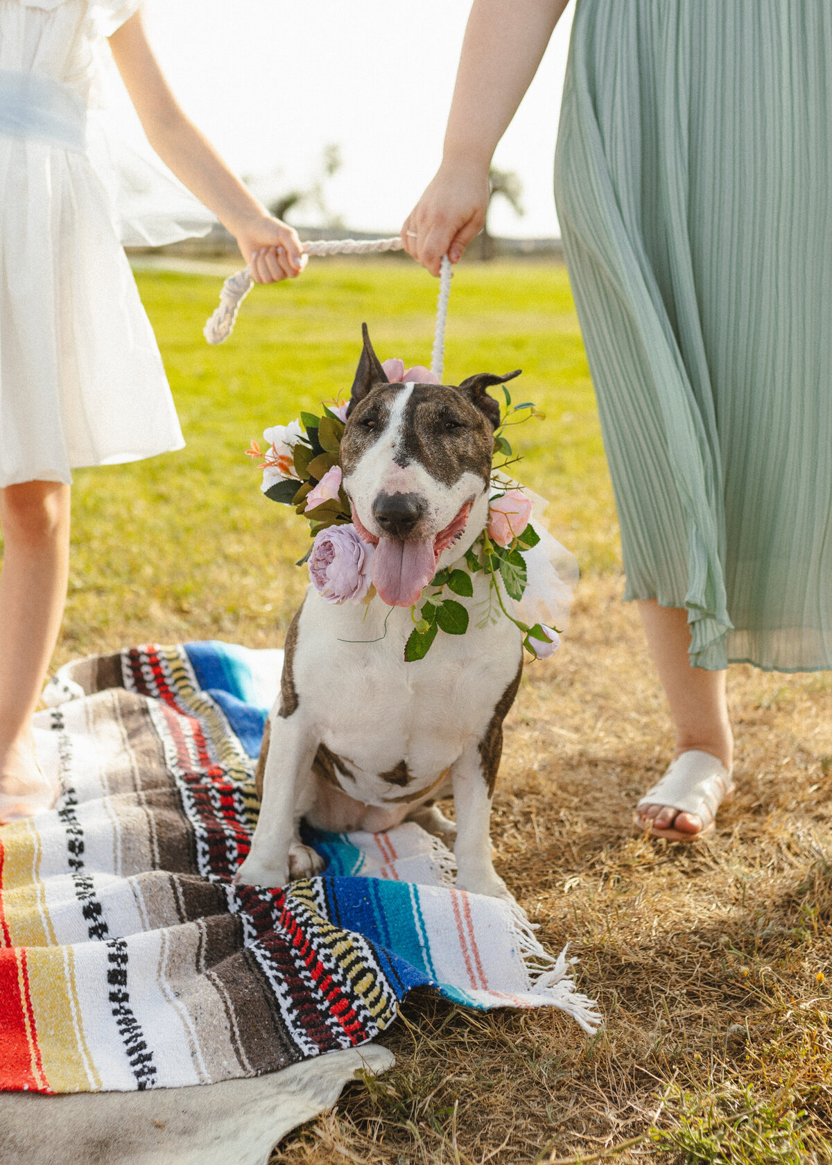 Fotografo Casamento Alentejo-39