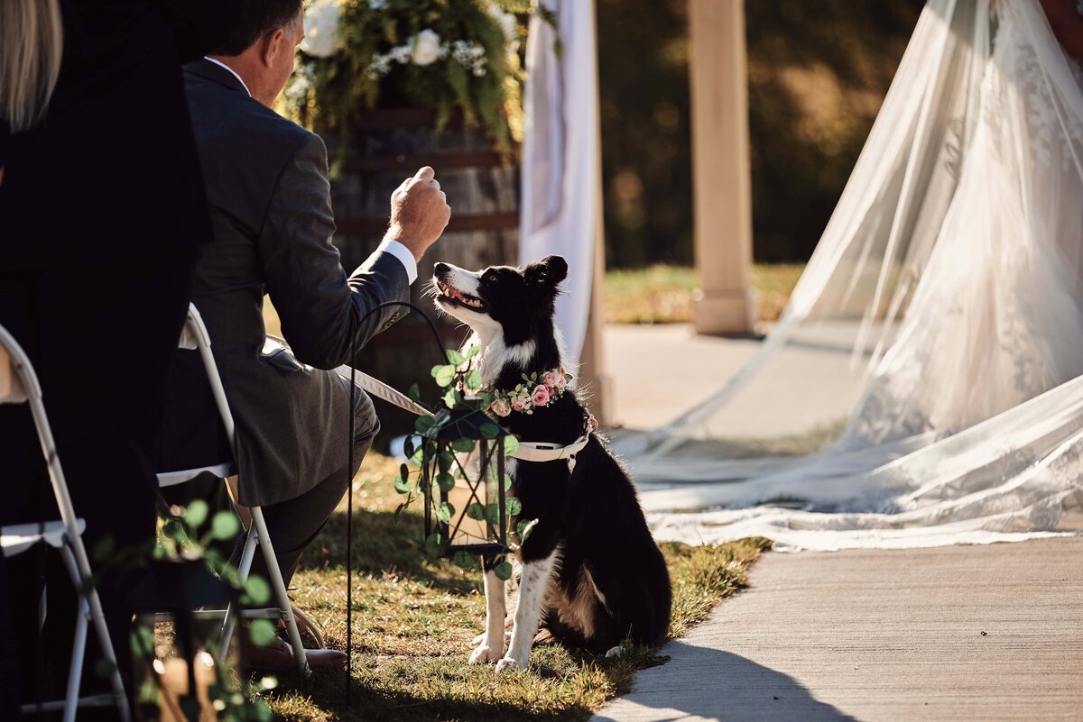 Sunset Hill Wedding Barn Central Lake, Michigan Wedding_44