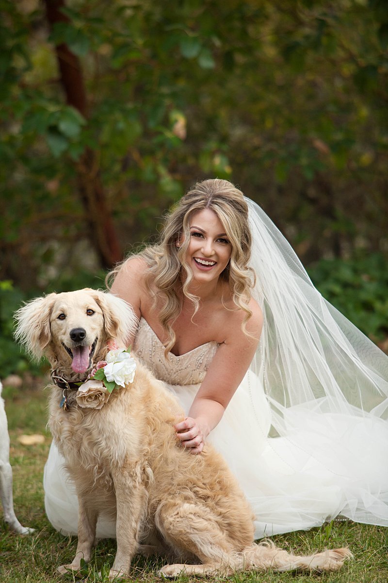 bride with veil next to dog wearing flower collar