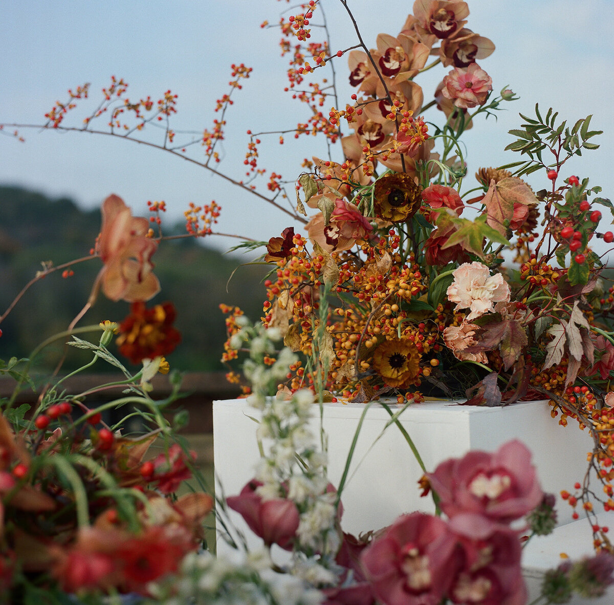 Sculptural columns wedding ceremony backdrop. Stair step white ceremony columns adorned with sculptural floral meadows in fall hues. Clear top tent build out for fall wedding reception in Tennessee hills. Wire threaded orchids, bittersweet berries, butterfly ranunculus, and tulips are highlighted in this wedding ceremony backdrop. Artistic fall color palette in copper, gold, ruby, lavender, and rust. Design by Rosemary & Finch Floral Design in Nashville, TN.