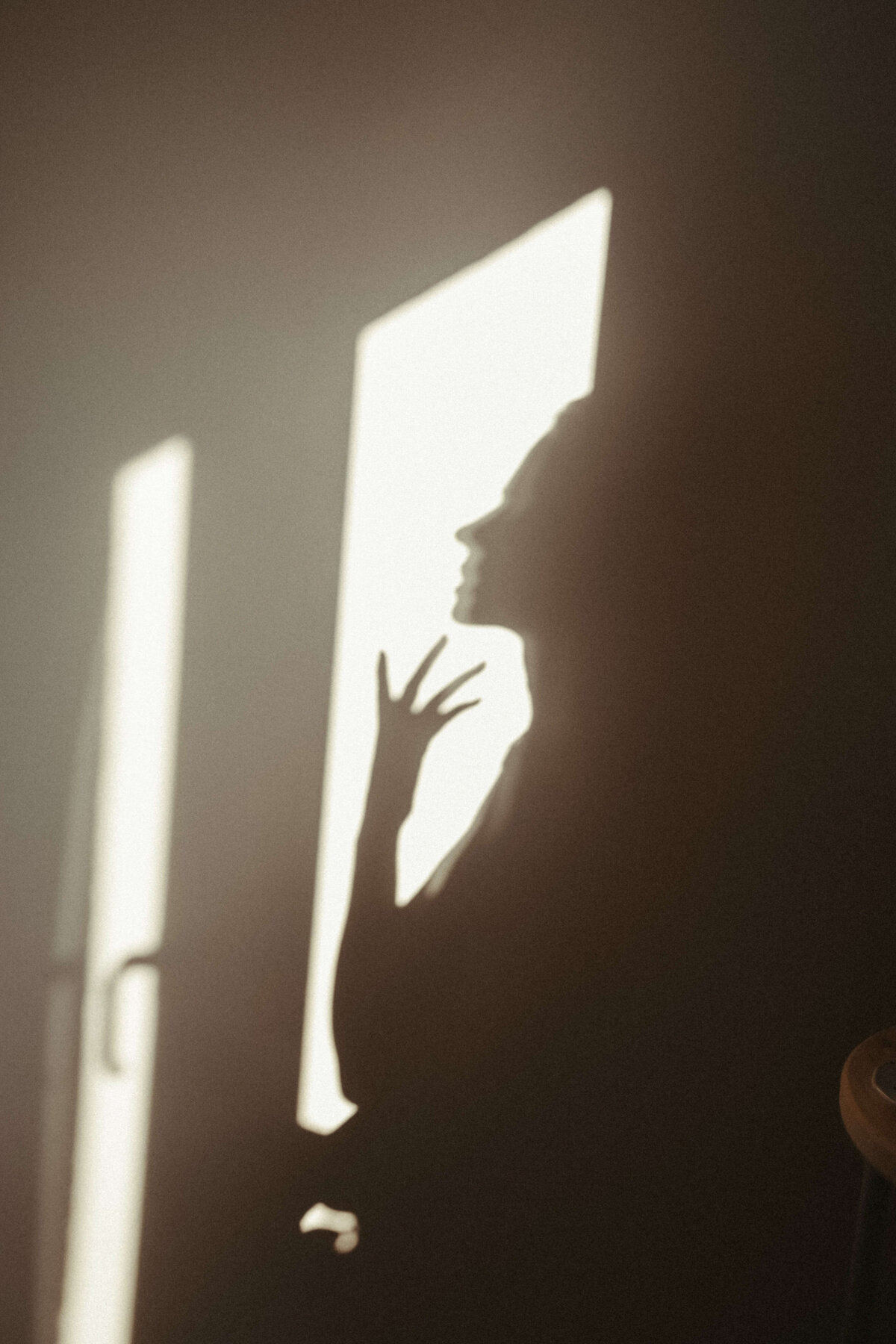 pexels-anastasiia-chaikovska-17490385