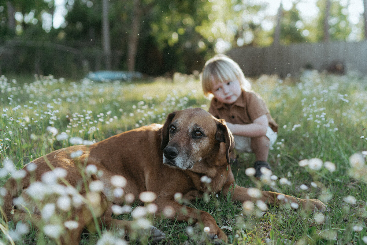kid squats next to dog in grass during family photoshoot captured by NYC family photographer Elsie Goodman