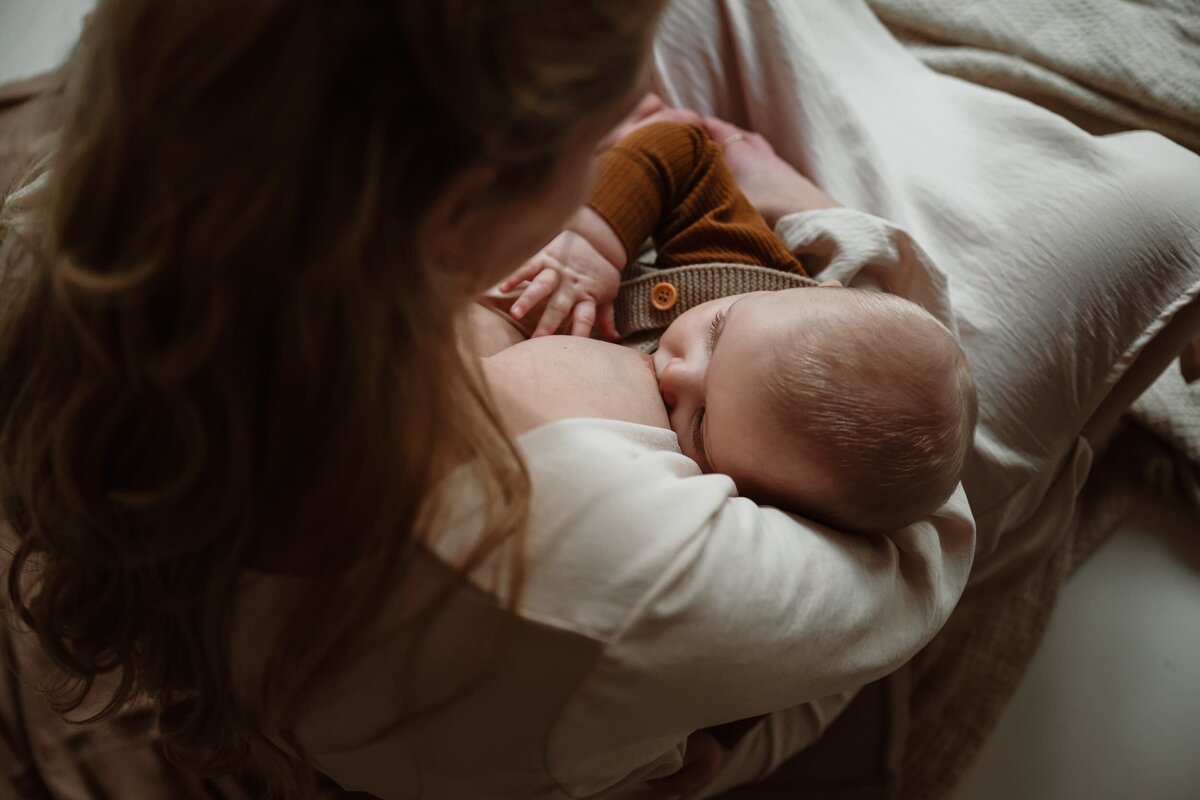 Newbornshoot in daglicht studio door fotograaf Eline Hemelt