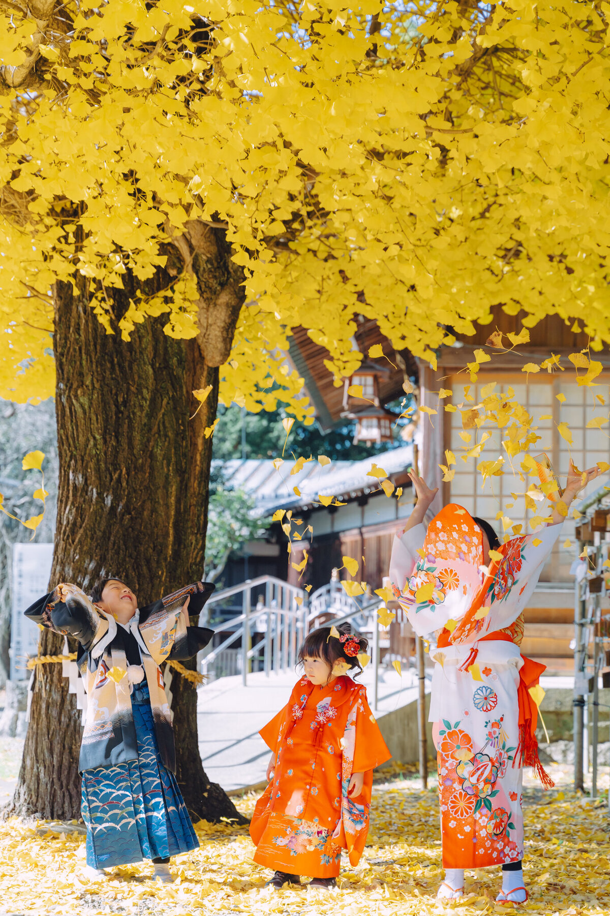 aichi-toyohashi-753-photographer-113