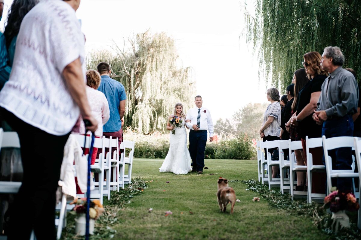 dog's eye view of father walking daughter down the aisle