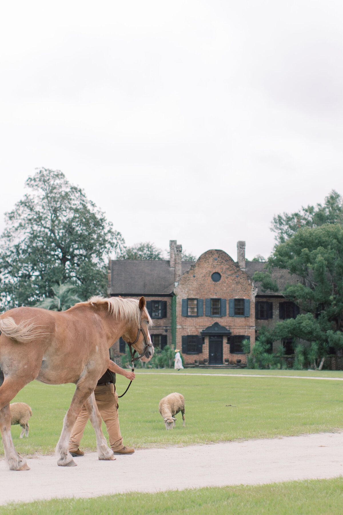 Melton_Wedding__Middleton_Place_Plantation_Charleston_South_Carolina_Jacksonville_Florida_Devon_Donnahoo_Photography__0014