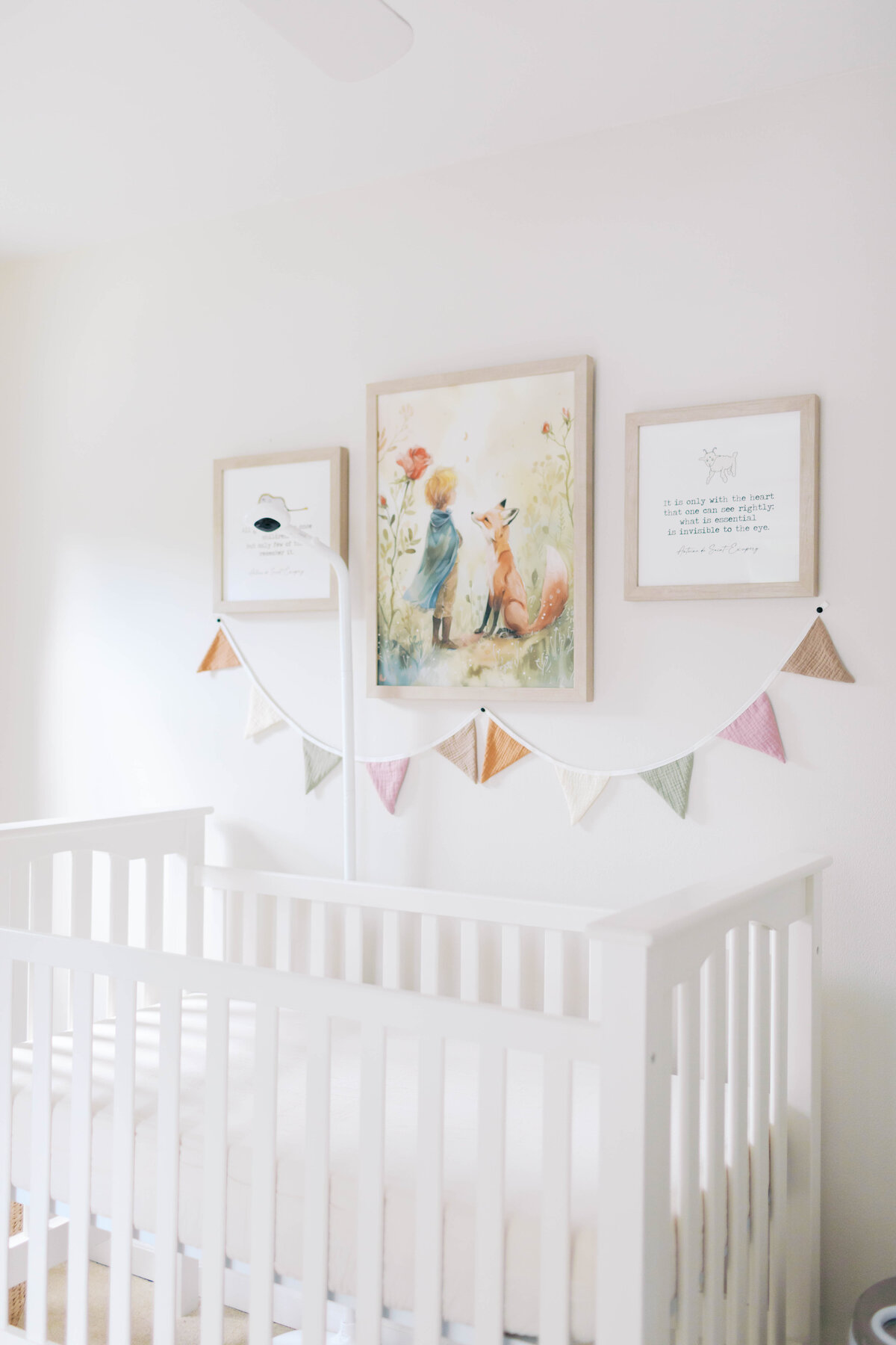 winston-salem-newborn-photographer4
