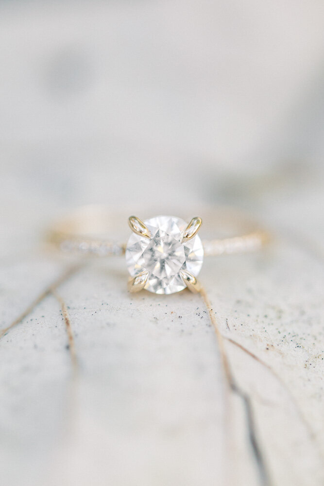 ENP - Garden Engagement Session with Willow Trees near ATL Georgia - Atlanta Wedding Photographer - Light and Airy Film Wedding Photographers in GA-12