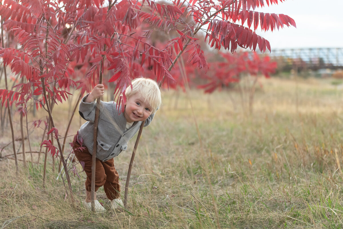 JSchmittPhoto-Bode-3