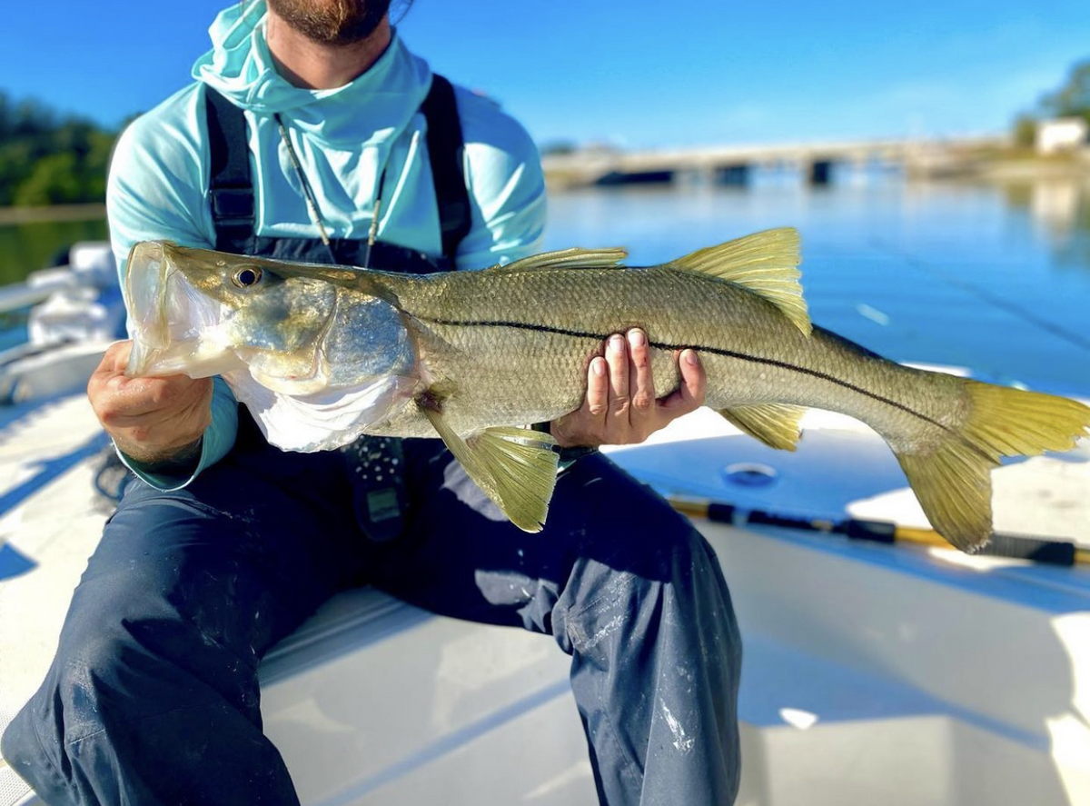 Book with JT Fishing Charters Clearwater Inshore fishing