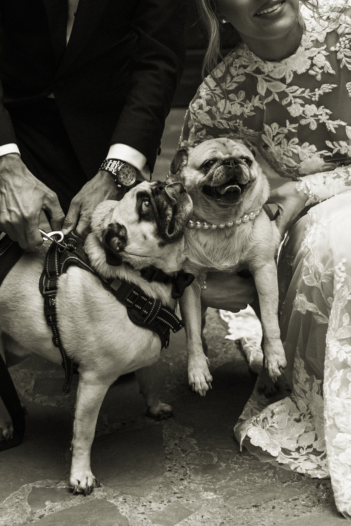 Percle-Friends-PaytonHartsellPhotography-437