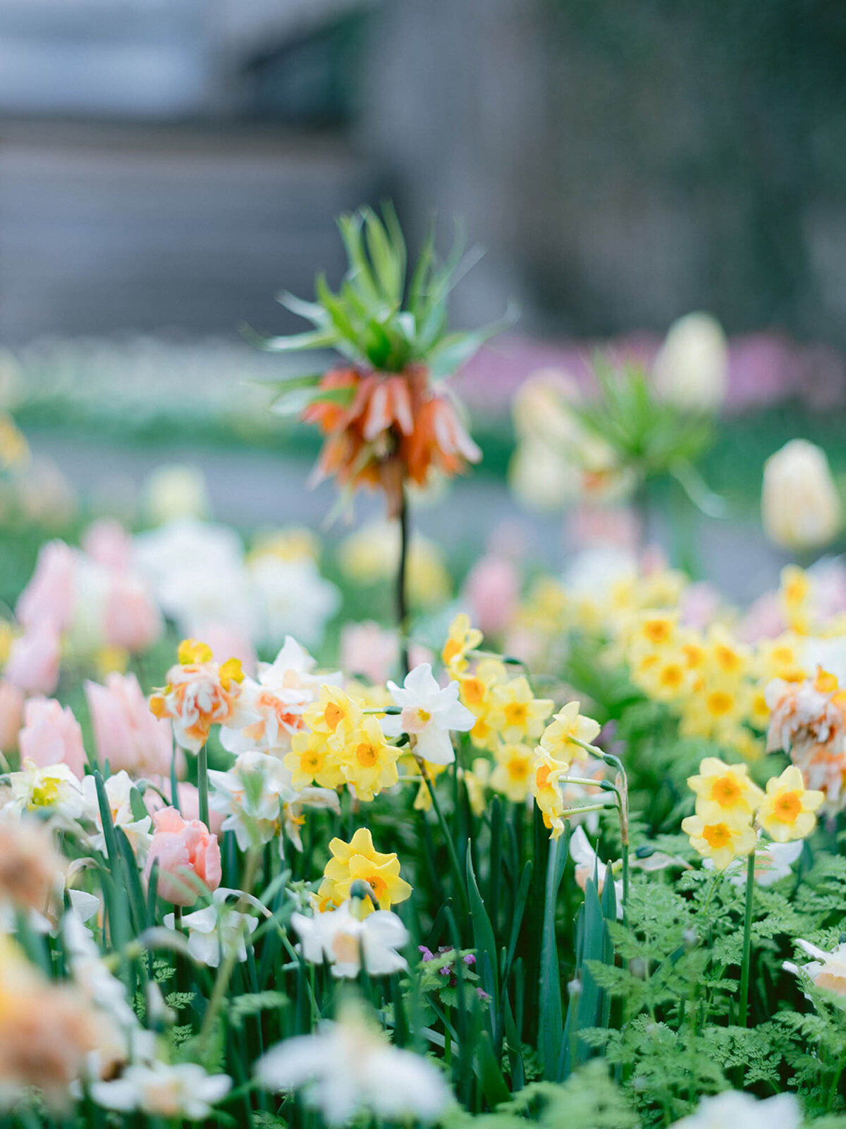 CapucineAtelierFloral-atelier-jardin-fleurs_25