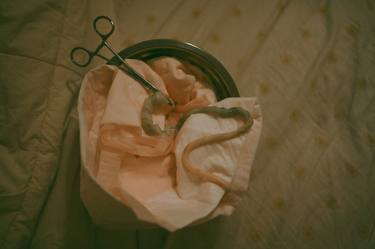 jeminiphotomichiganpbirthhotographer87