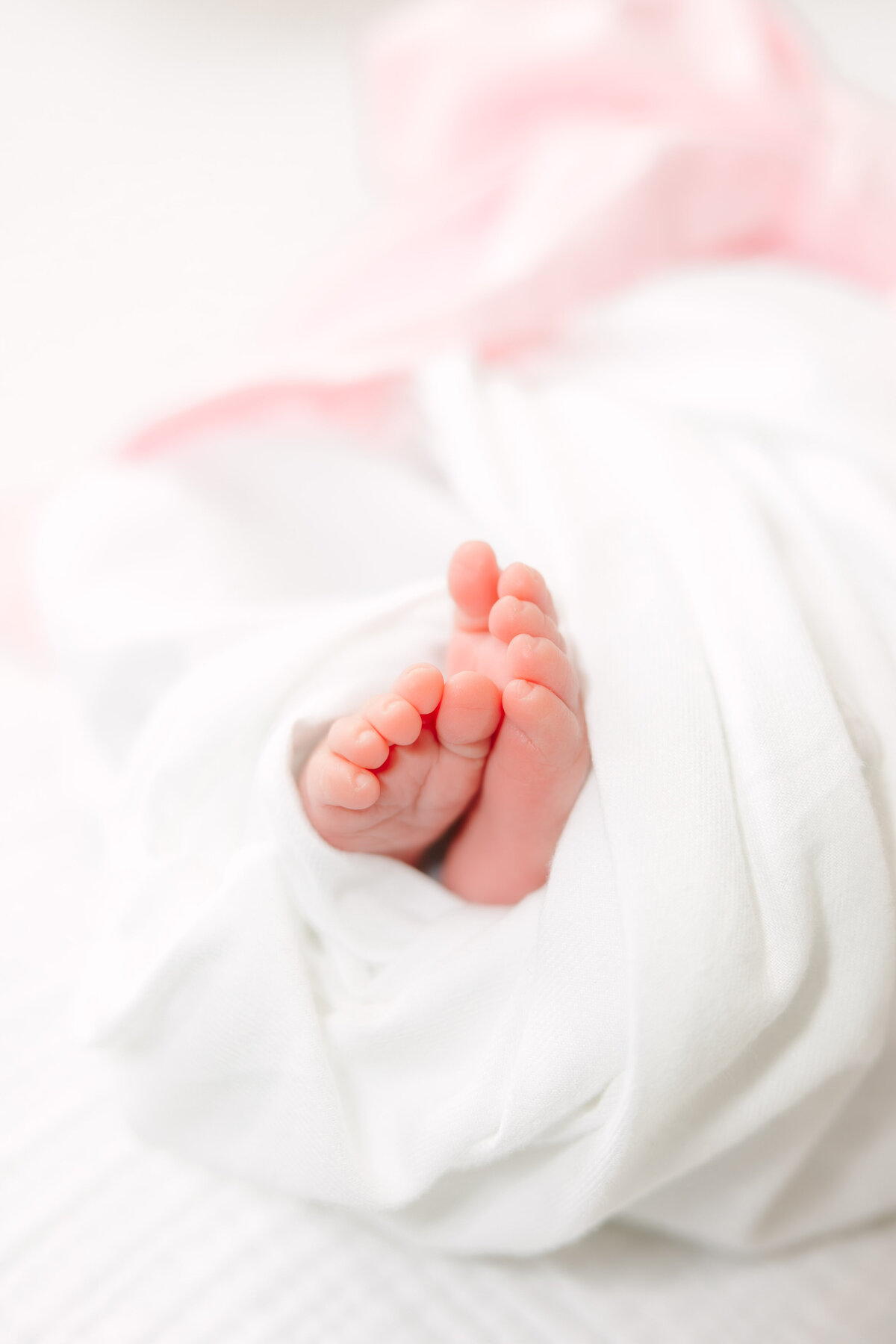 Hollyn Newborn 2024-171