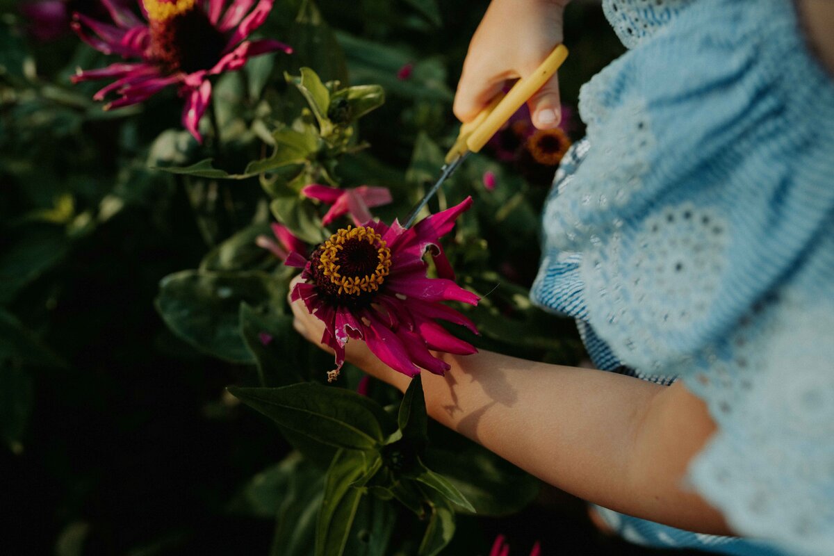 Daisies Fotografie Xavi & Kae-61