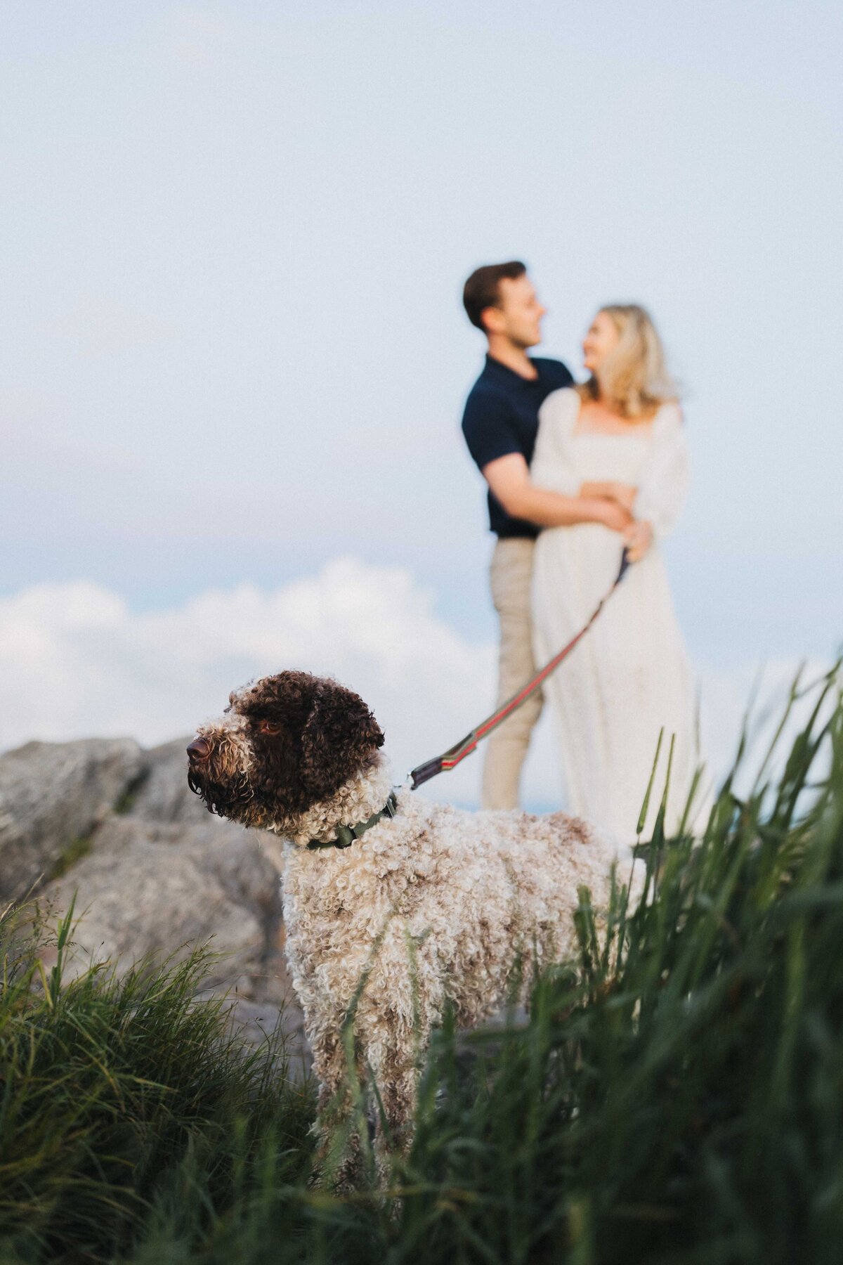 asheville wedding photographer-1-88
