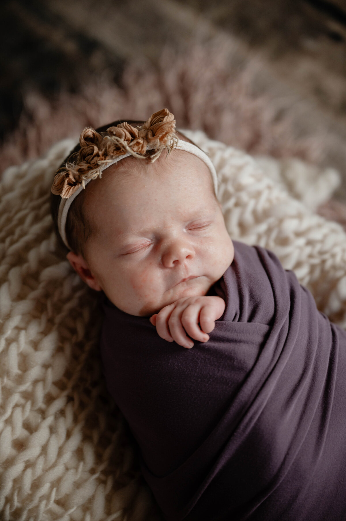 Taylor Elizabeth Photography Weddings and Lifetyle Photographer in Indiana Maternity + Family Photo 33
