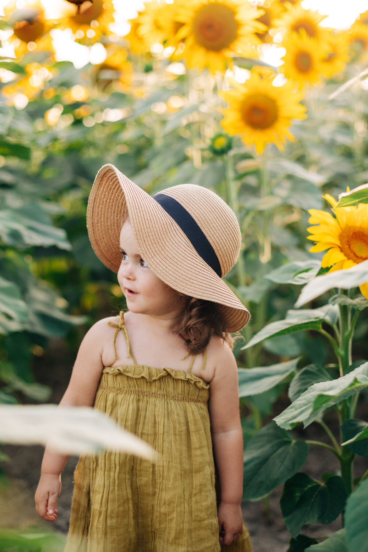 séance dans les tournesols - Les photos de Marie - Bretagne-5