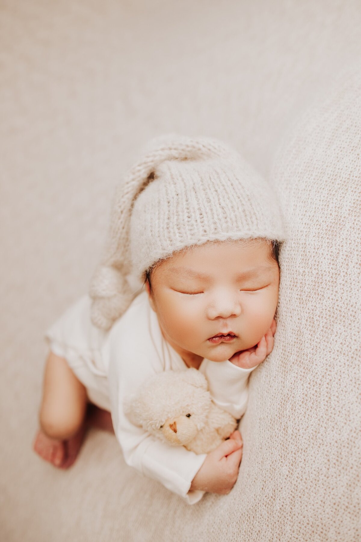 Sacramento, Elk Grove, Florin, Vineyard, Roseville, Davis, Rancho Cordova, East Sacramento, Cameron Park, Folsom, Antelope Newborn Photographer, Baby Photographer, A Little Goose