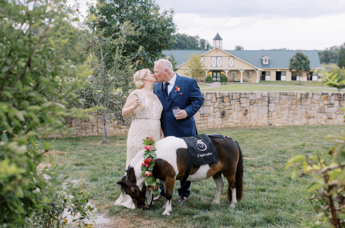 Cupcake the horse 