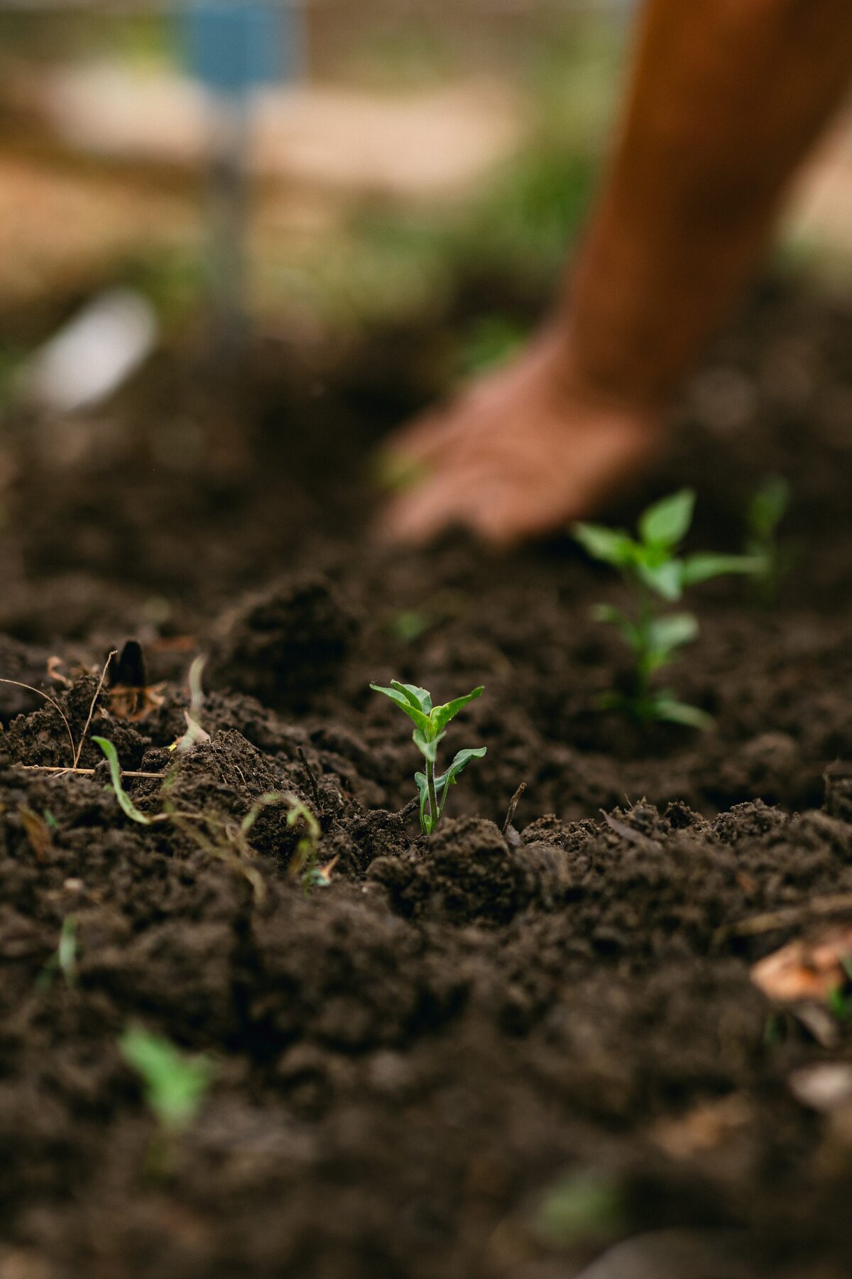 Leap-Lab-Science-Farm-Ventura-California-Santa-Paula-Non-Profit-0005