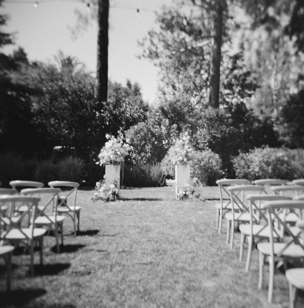 aimee-leo-pre-ceremony-olive-and-oath19