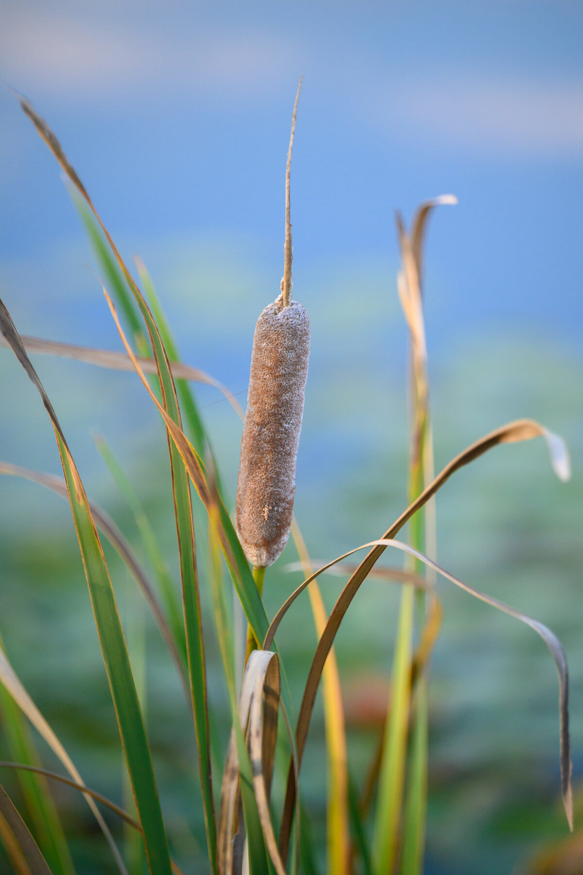 Waterfront photography 4