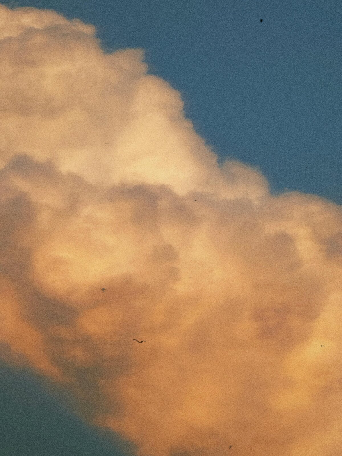 pexels-sorrasfilms-27309717