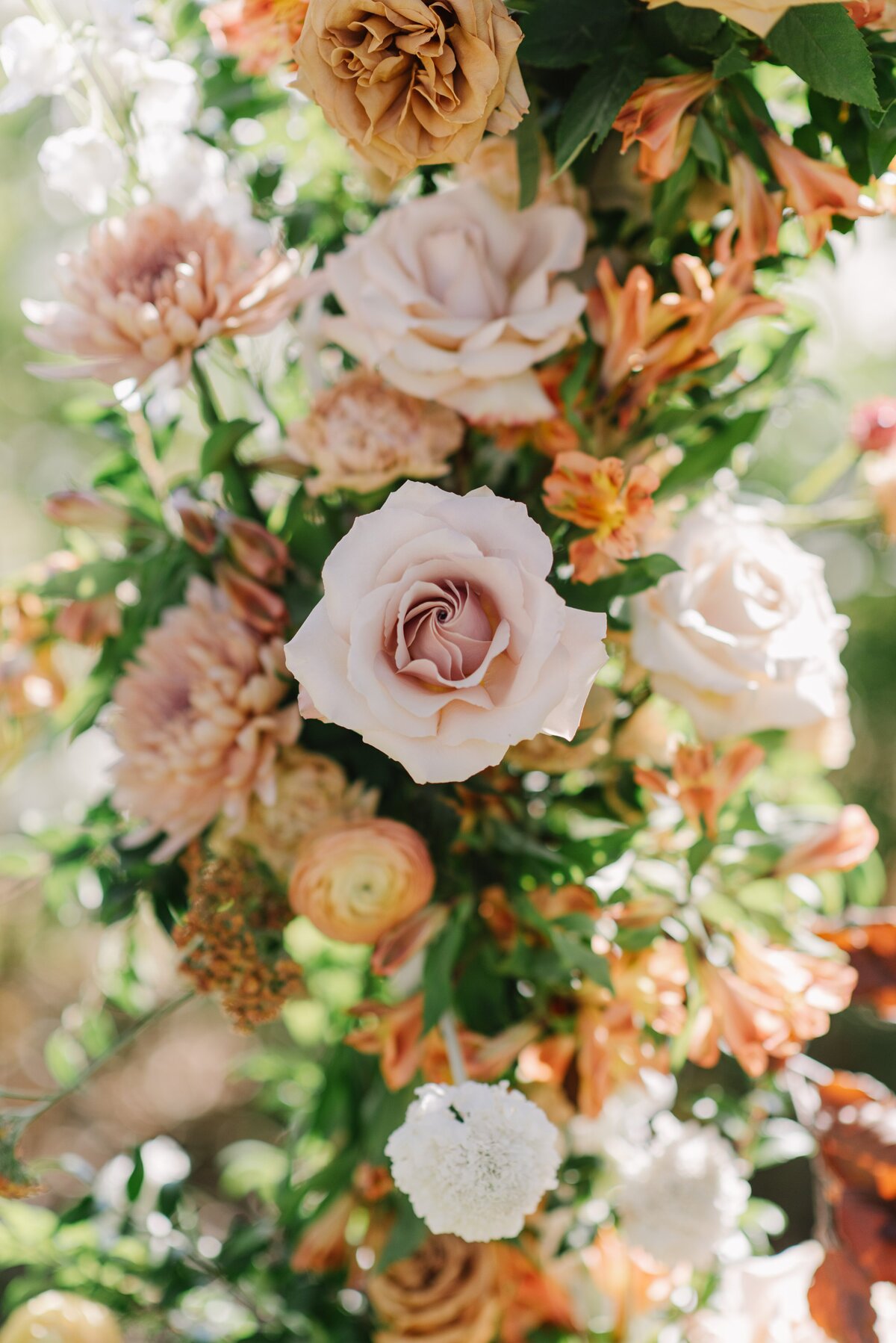 HooleWeddingbyNikkelsPhotography-1528