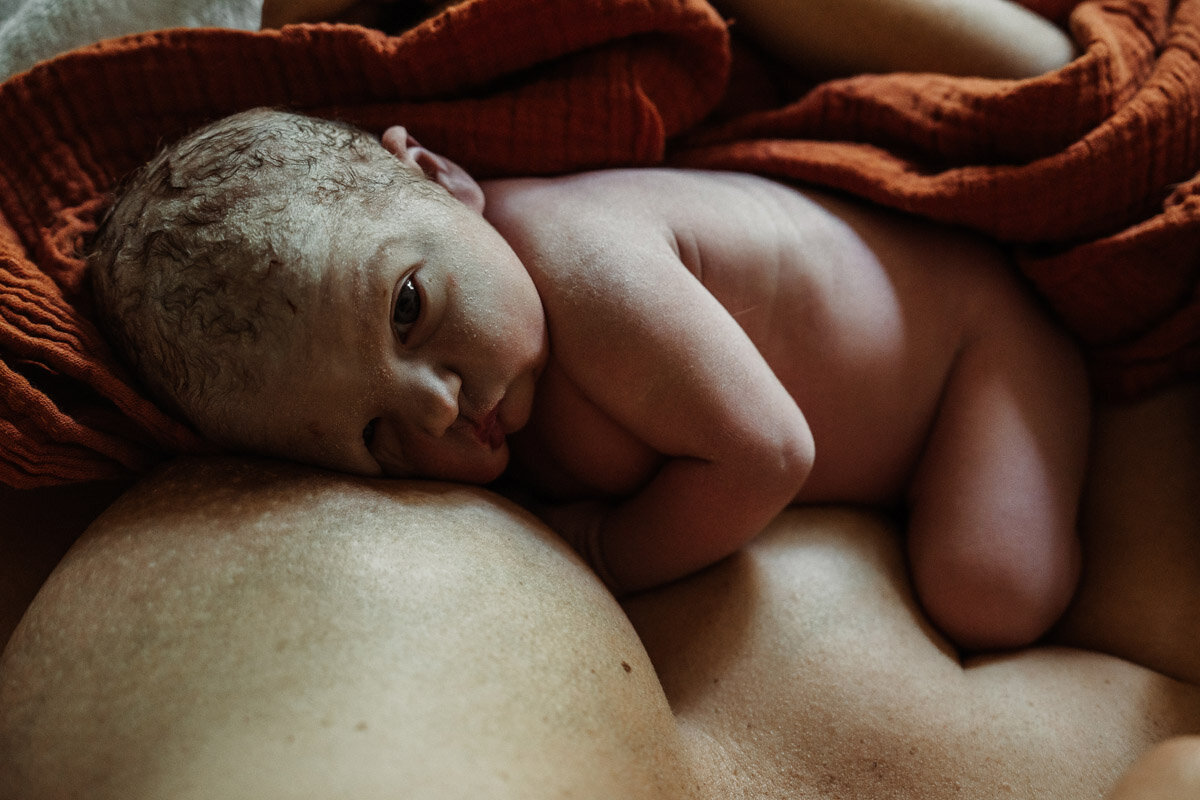 home-birth-photography-natalie-broders-g-056