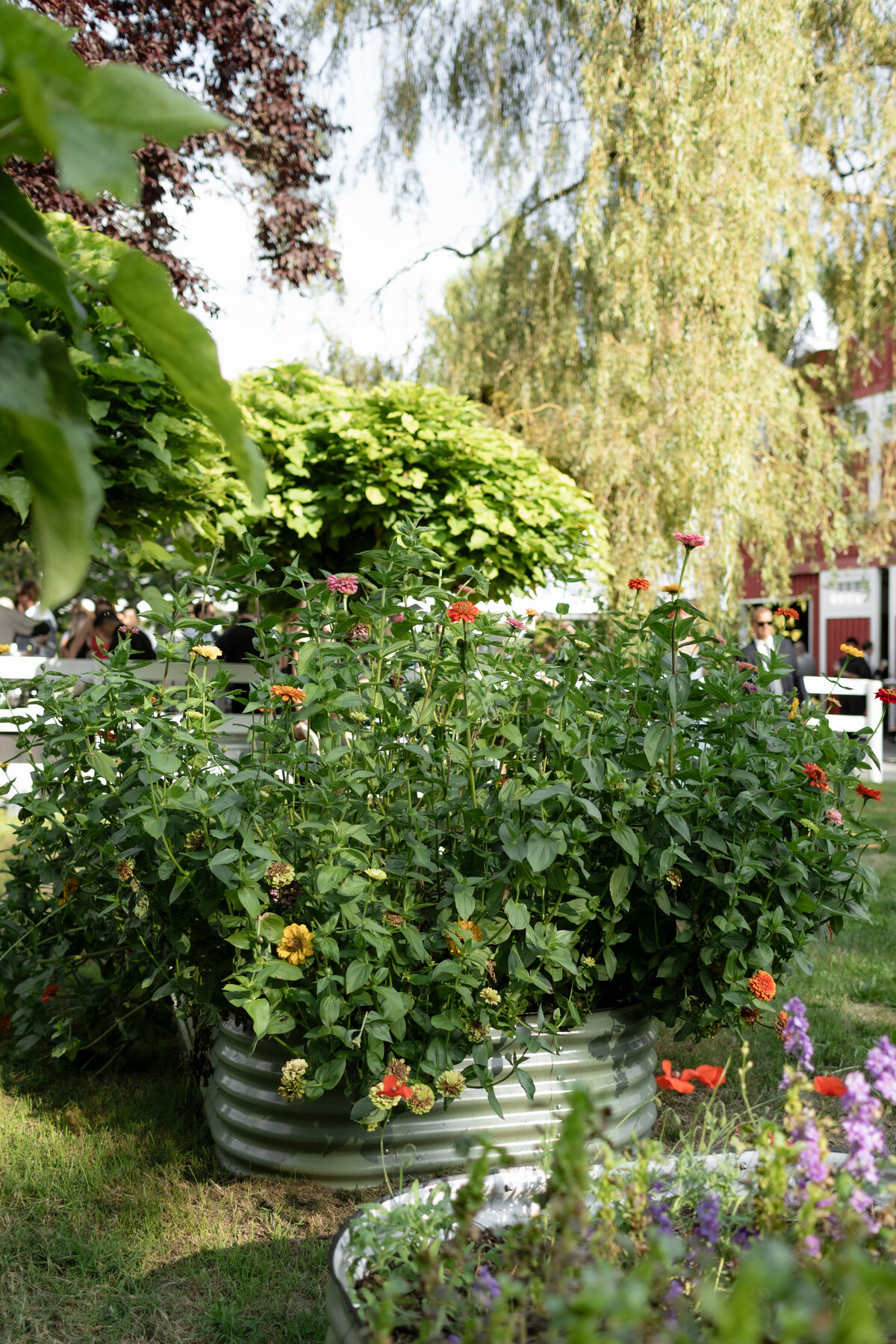 MeghanHemstra-Colourful-Vancouver-Garden-Wedding-56