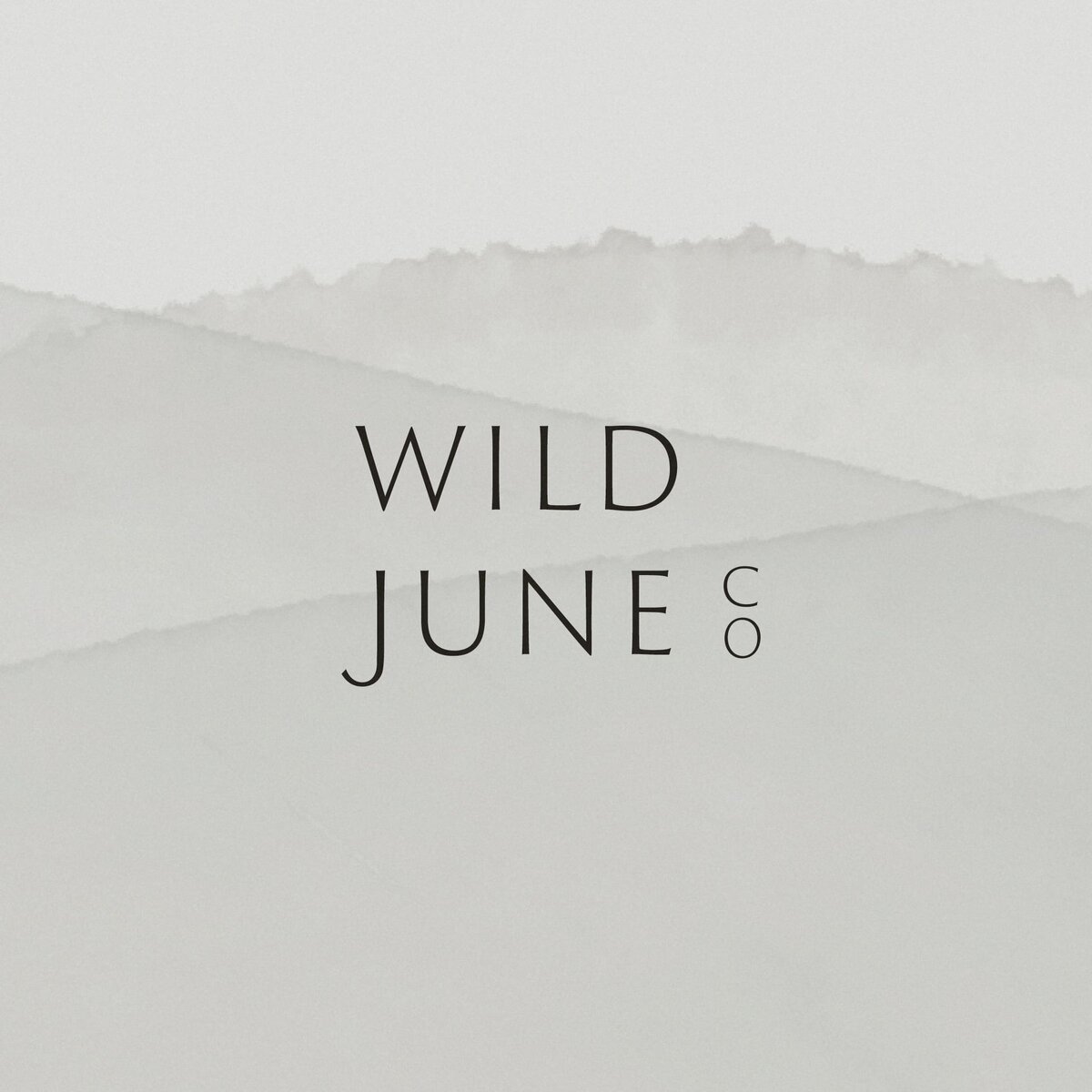 WildJuneCo_LaunchGraphics_New15