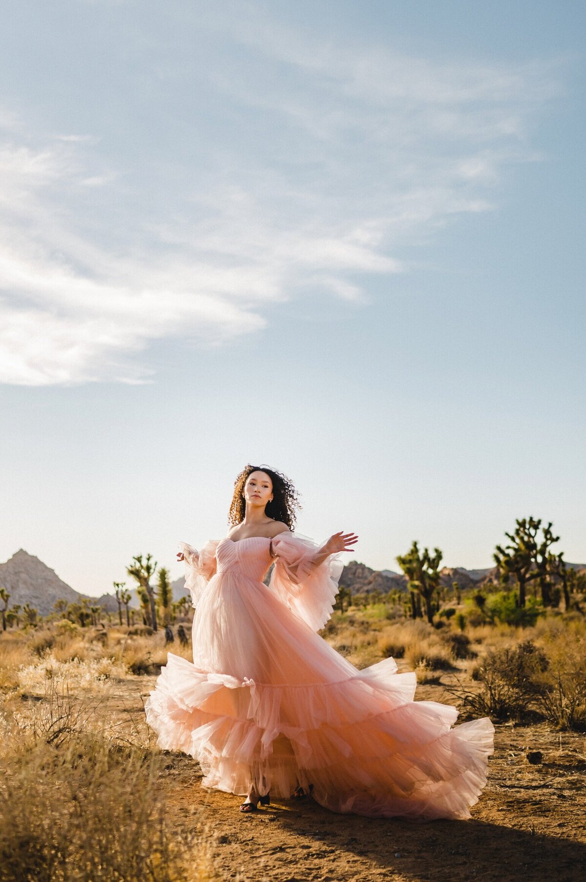 Joshua Tree  Wedding Photographer