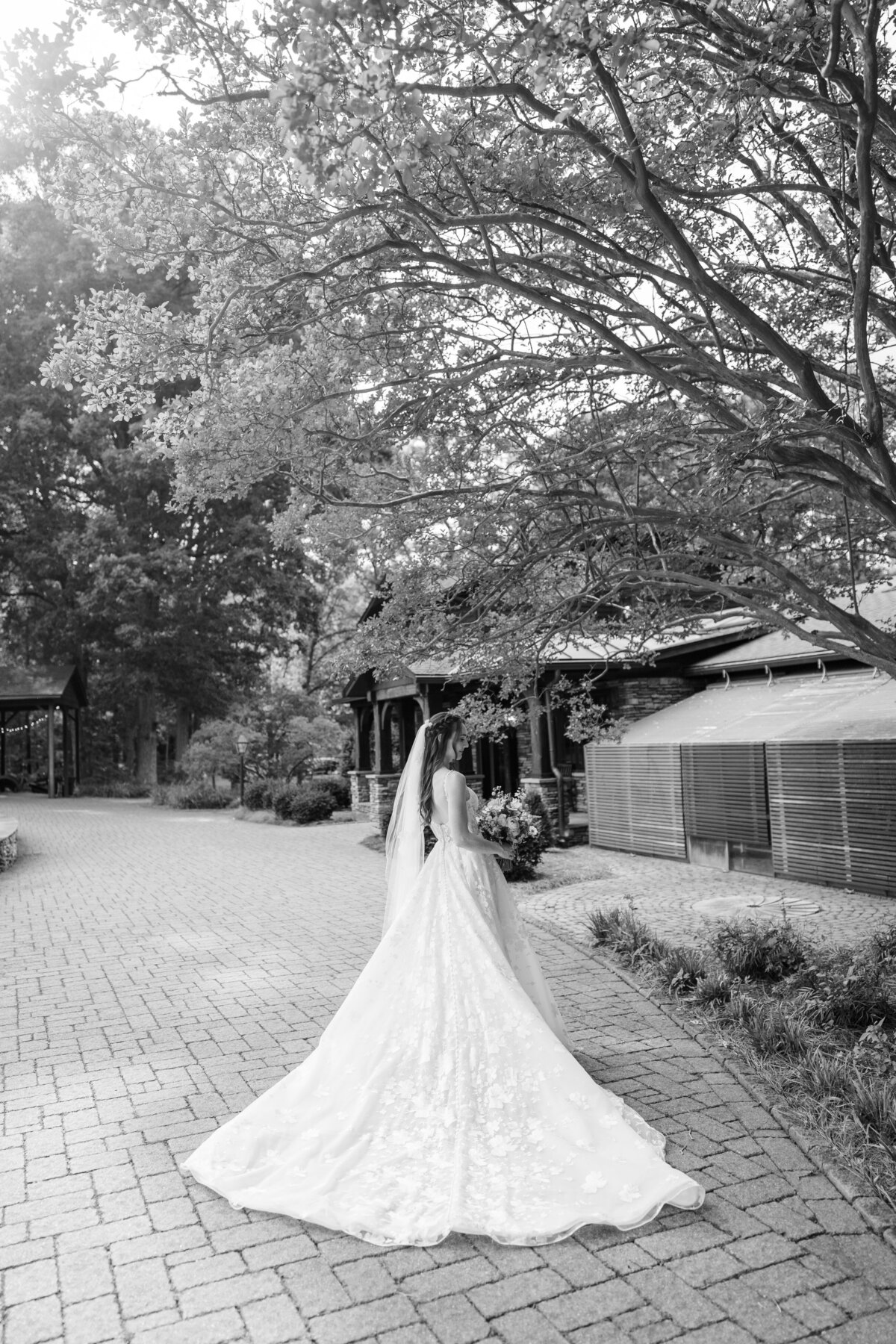 25033_3464_bw