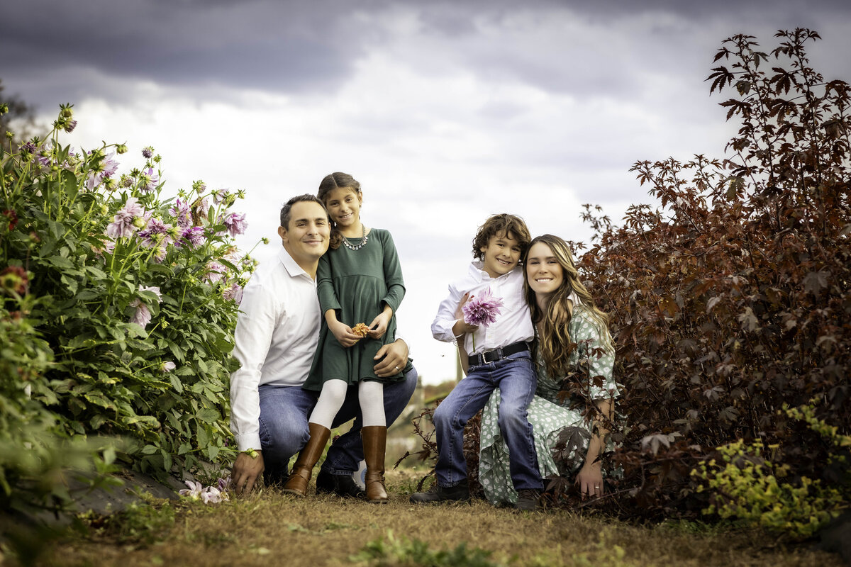 Ragno Family-8288