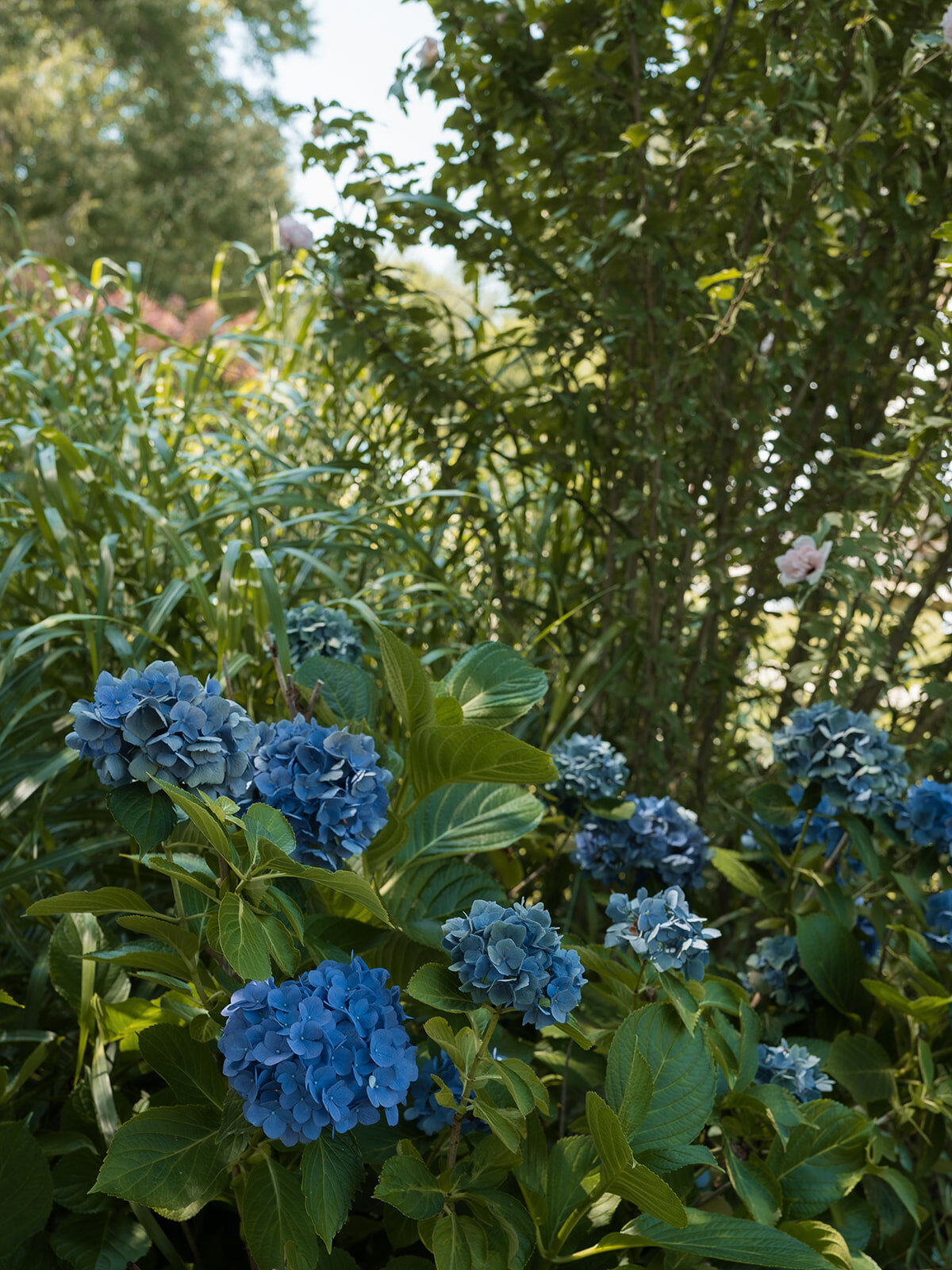 Annalise & Jonathan Tented Private Residence Connecticut Wedding-58