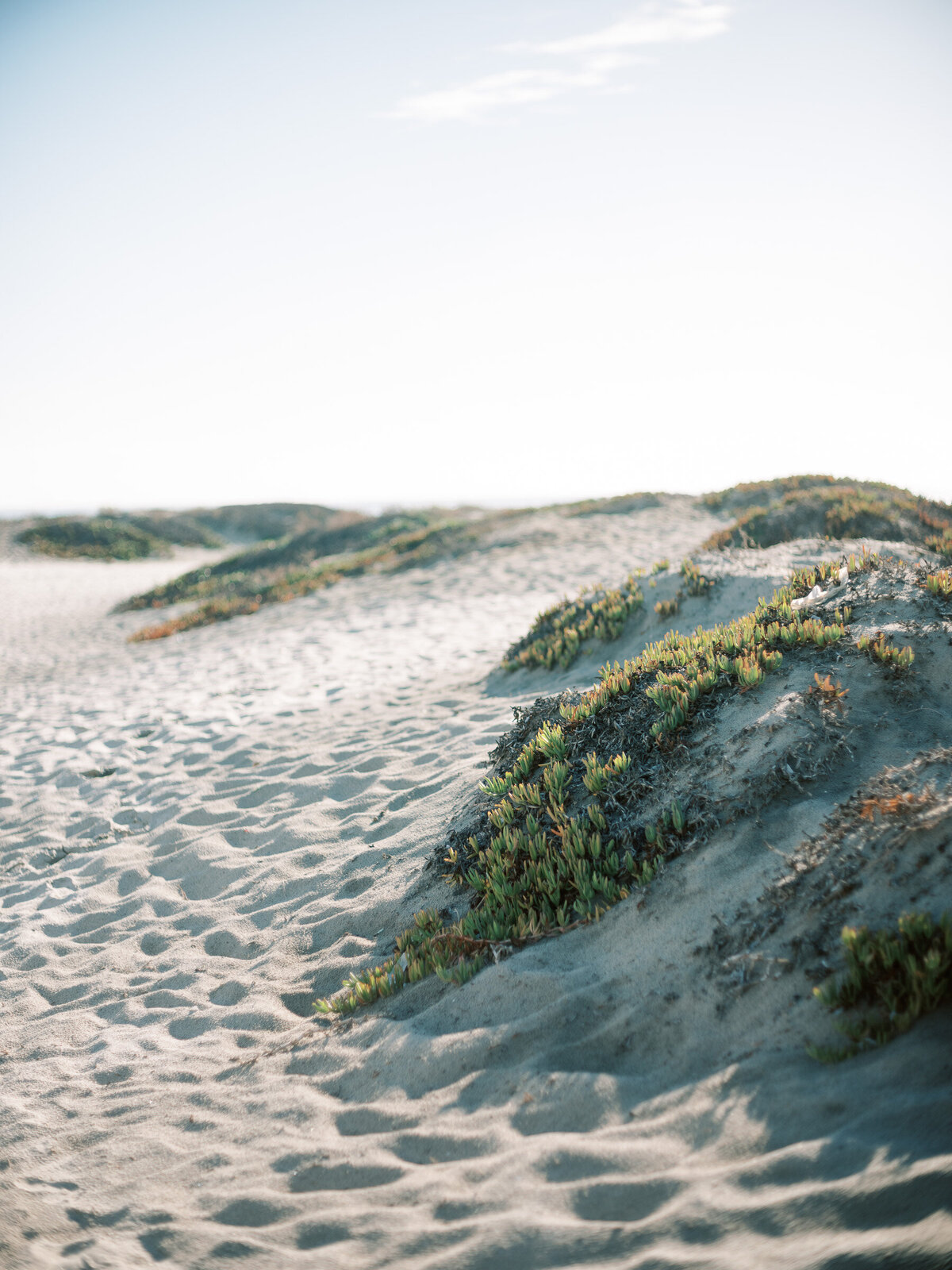 jenna-marie-photography-family-session-coronado-beach-2025-13