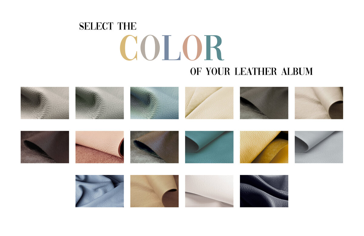 021 - pg 40-41  - Pick Your Color - Leather Album